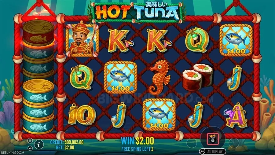 nn777 Sports Betting Fundamentals